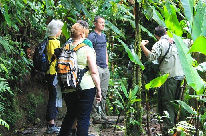 Hanging Bridges Walking